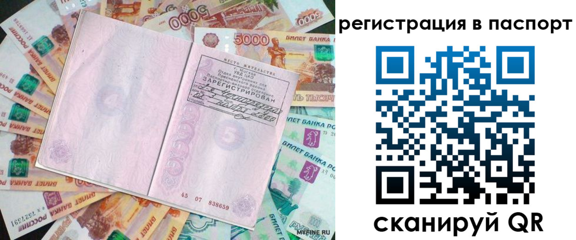 найти адрес прописки в Ершове